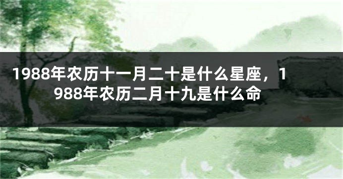 1988年农历十一月二十是什么星座，1988年农历二月十九是什么命