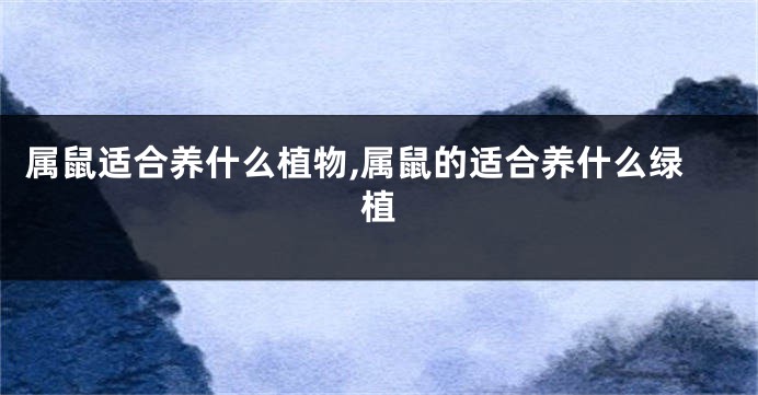 属鼠适合养什么植物,属鼠的适合养什么绿植