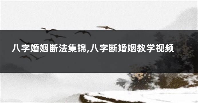 八字婚姻断法集锦,八字断婚姻教学视频
