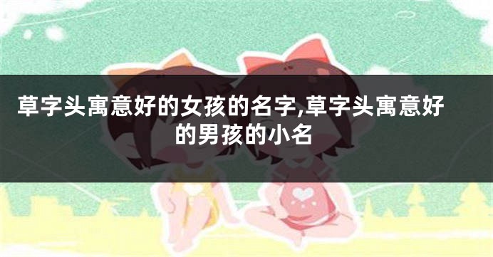 草字头寓意好的女孩的名字,草字头寓意好的男孩的小名