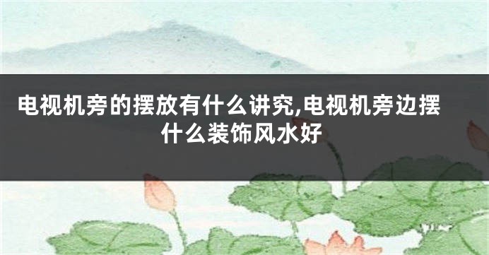 电视机旁的摆放有什么讲究,电视机旁边摆什么装饰风水好