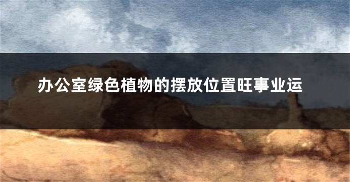 办公室绿色植物的摆放位置旺事业运