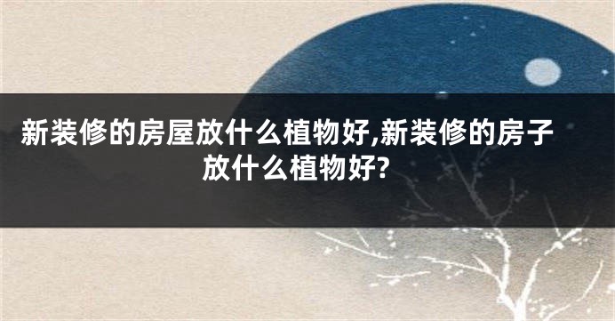 新装修的房屋放什么植物好,新装修的房子放什么植物好?