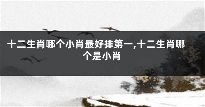 十二生肖哪个小肖最好排第一,十二生肖哪个是小肖