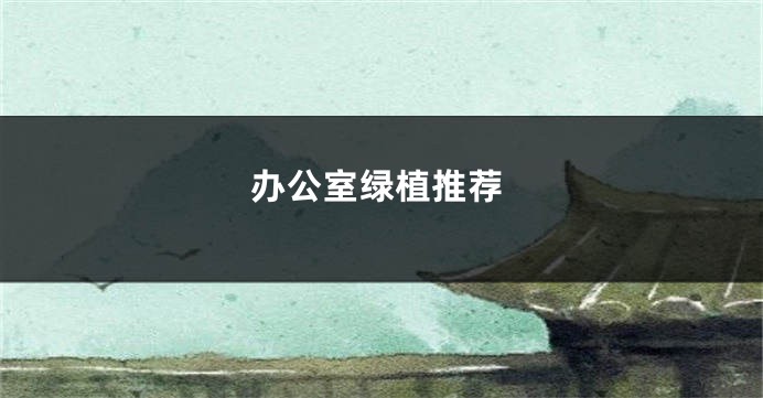 办公室绿植推荐