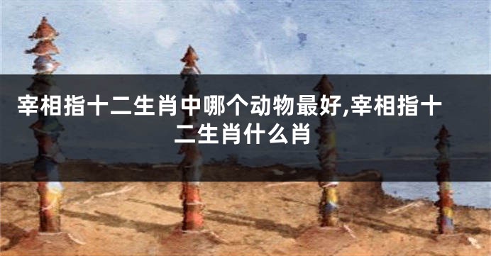 宰相指十二生肖中哪个动物最好,宰相指十二生肖什么肖