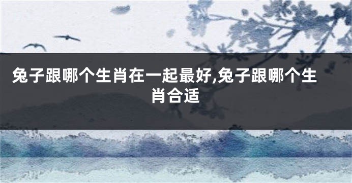 兔子跟哪个生肖在一起最好,兔子跟哪个生肖合适