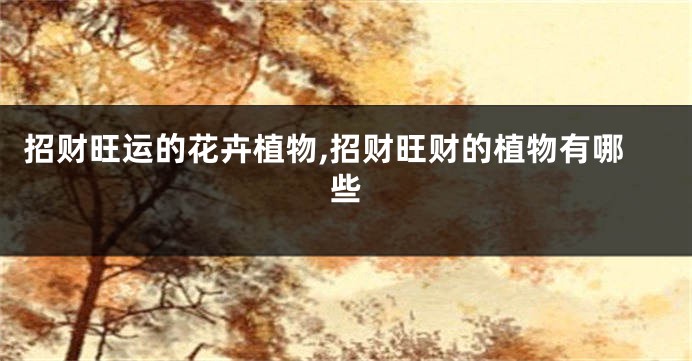 招财旺运的花卉植物,招财旺财的植物有哪些