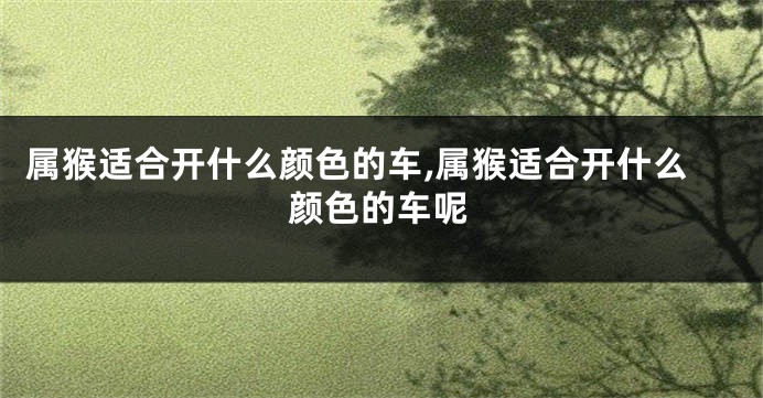 属猴适合开什么颜色的车,属猴适合开什么颜色的车呢