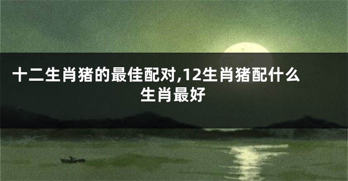 十二生肖猪的最佳配对,12生肖猪配什么生肖最好