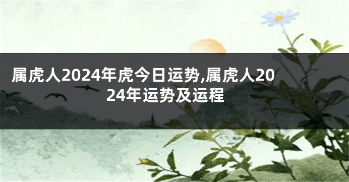 属虎人2024年虎今日运势,属虎人2024年运势及运程