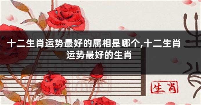 十二生肖运势最好的属相是哪个,十二生肖运势最好的生肖