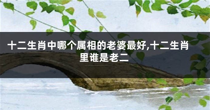 十二生肖中哪个属相的老婆最好,十二生肖里谁是老二