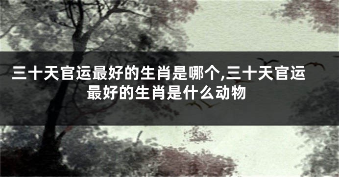三十天官运最好的生肖是哪个,三十天官运最好的生肖是什么动物