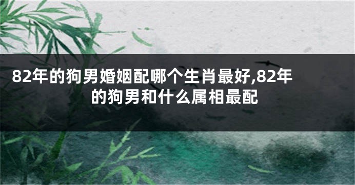 82年的狗男婚姻配哪个生肖最好,82年的狗男和什么属相最配