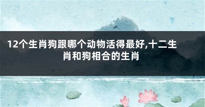 12个生肖狗跟哪个动物活得最好,十二生肖和狗相合的生肖