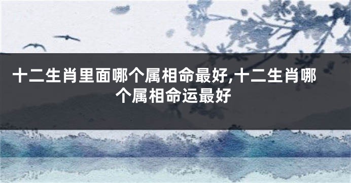 十二生肖里面哪个属相命最好,十二生肖哪个属相命运最好