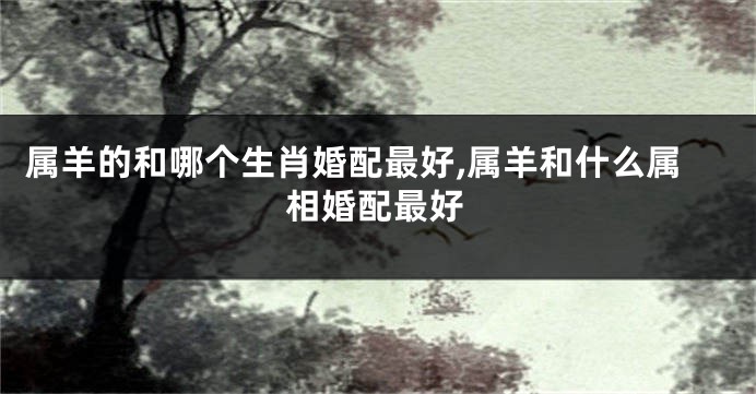 属羊的和哪个生肖婚配最好,属羊和什么属相婚配最好
