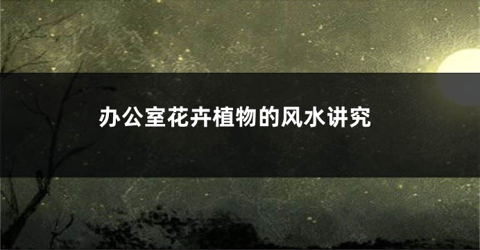 办公室花卉植物的风水讲究