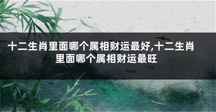 十二生肖里面哪个属相财运最好,十二生肖里面哪个属相财运最旺