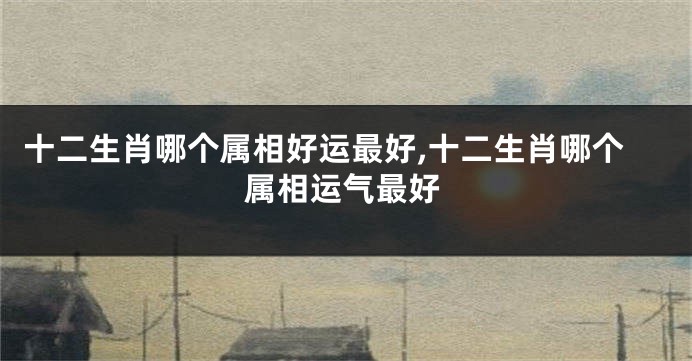 十二生肖哪个属相好运最好,十二生肖哪个属相运气最好
