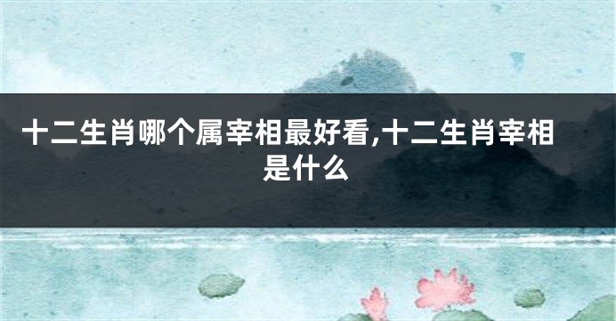 十二生肖哪个属宰相最好看,十二生肖宰相是什么