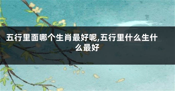 五行里面哪个生肖最好呢,五行里什么生什么最好