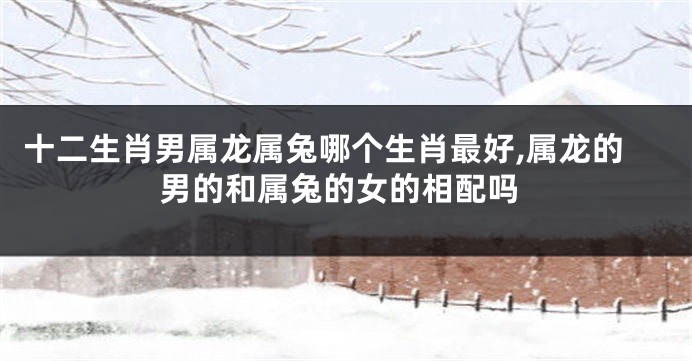 十二生肖男属龙属兔哪个生肖最好,属龙的男的和属兔的女的相配吗