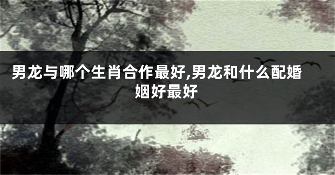 男龙与哪个生肖合作最好,男龙和什么配婚姻好最好