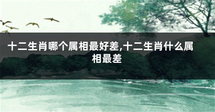 十二生肖哪个属相最好差,十二生肖什么属相最差