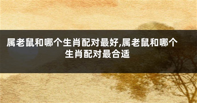 属老鼠和哪个生肖配对最好,属老鼠和哪个生肖配对最合适