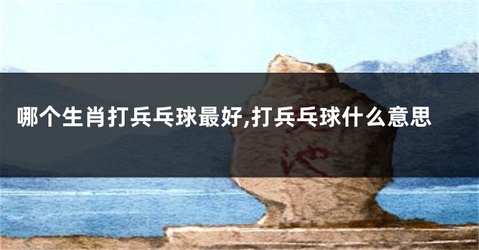 哪个生肖打兵乓球最好,打兵乓球什么意思