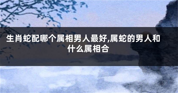 生肖蛇配哪个属相男人最好,属蛇的男人和什么属相合