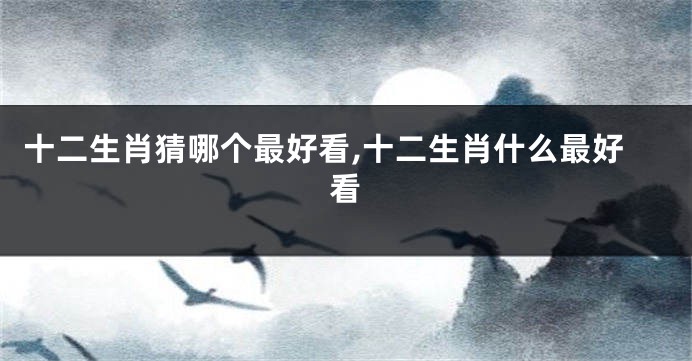 十二生肖猜哪个最好看,十二生肖什么最好看