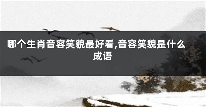 哪个生肖音容笑貌最好看,音容笑貌是什么成语