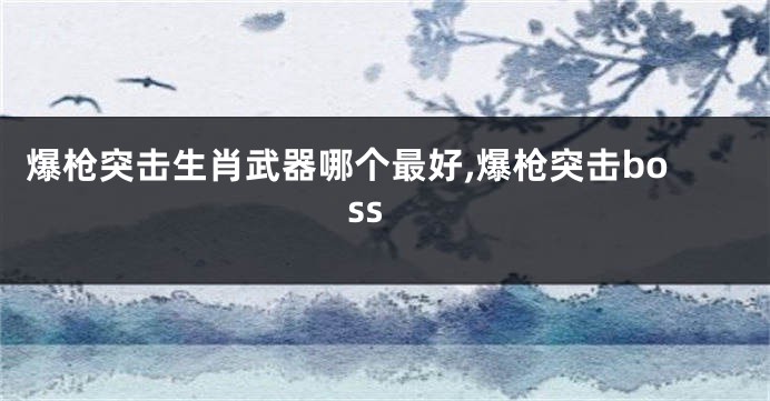 爆枪突击生肖武器哪个最好,爆枪突击boss