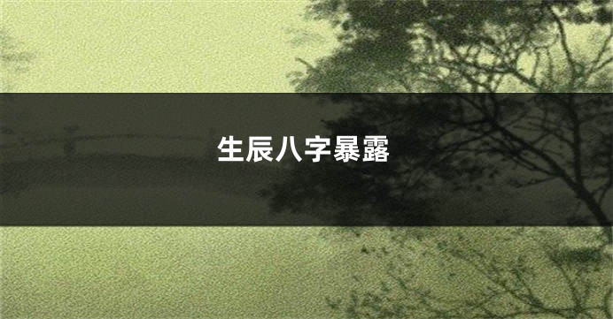 生辰八字暴露