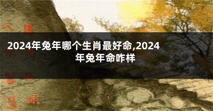 2024年兔年哪个生肖最好命,2024年兔年命咋样