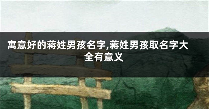寓意好的蒋姓男孩名字,蒋姓男孩取名字大全有意义