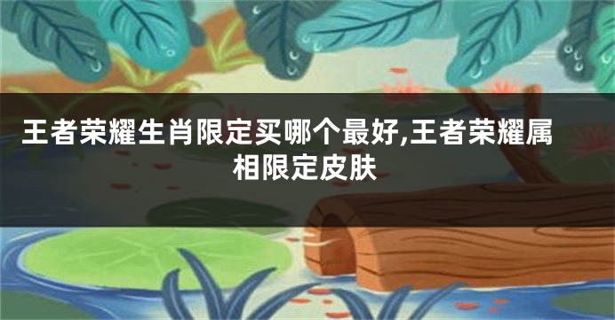 王者荣耀生肖限定买哪个最好,王者荣耀属相限定皮肤