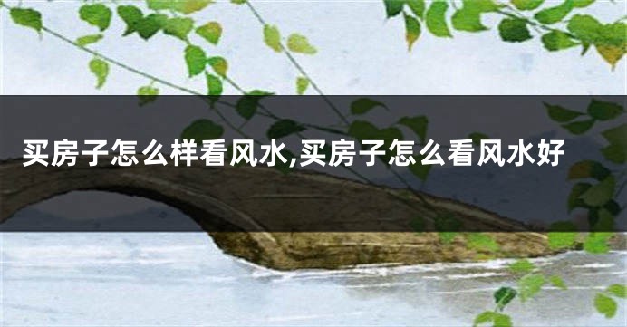 买房子怎么样看风水,买房子怎么看风水好