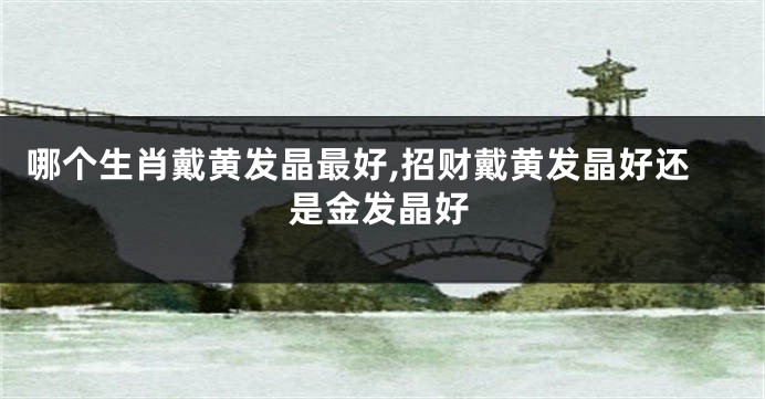 哪个生肖戴黄发晶最好,招财戴黄发晶好还是金发晶好