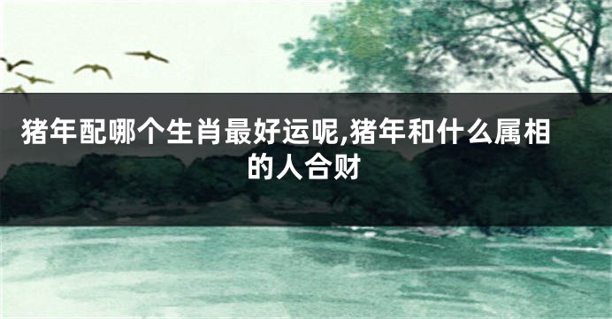 猪年配哪个生肖最好运呢,猪年和什么属相的人合财