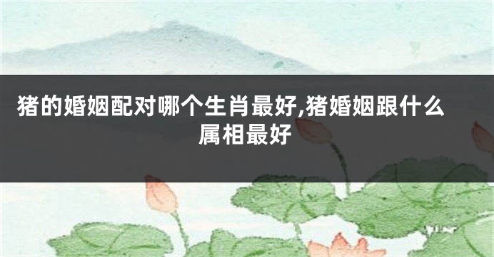 猪的婚姻配对哪个生肖最好,猪婚姻跟什么属相最好