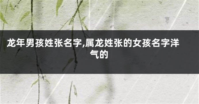 龙年男孩姓张名字,属龙姓张的女孩名字洋气的