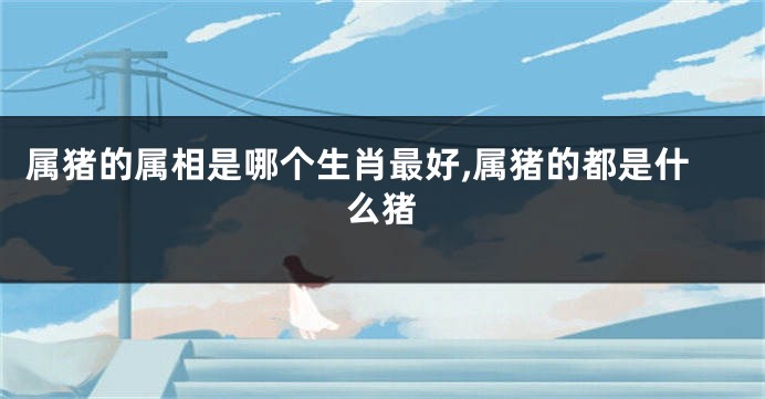 属猪的属相是哪个生肖最好,属猪的都是什么猪