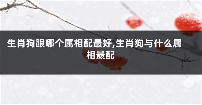 生肖狗跟哪个属相配最好,生肖狗与什么属相最配