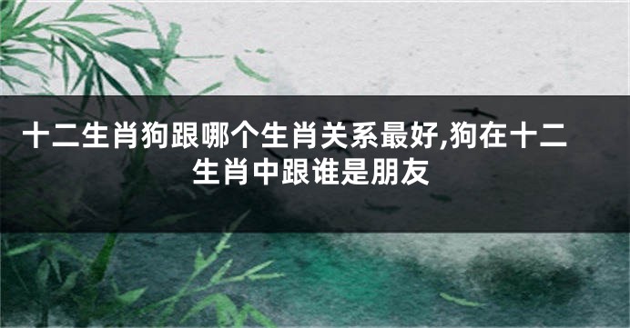 十二生肖狗跟哪个生肖关系最好,狗在十二生肖中跟谁是朋友