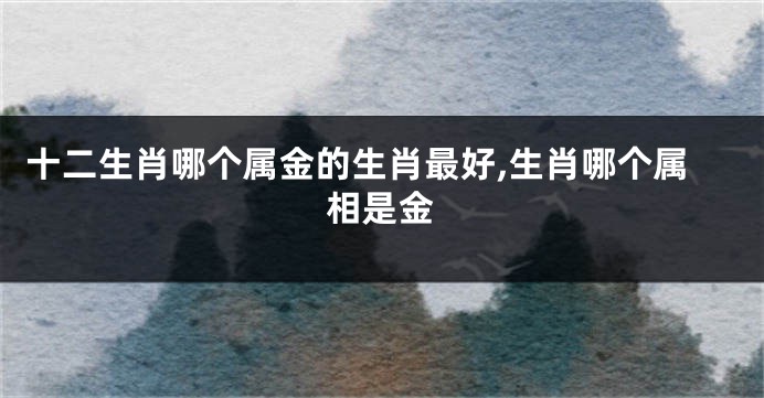 十二生肖哪个属金的生肖最好,生肖哪个属相是金