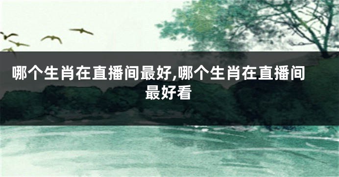 哪个生肖在直播间最好,哪个生肖在直播间最好看